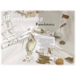 Χειροποίητα Προσκλητήρια Βάπτισης Αρχαία Ελλάδα - Ελιά 